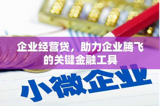 雨花企业经营贷，助力企业腾飞的关键金融工具