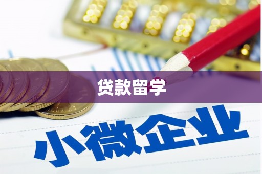 雨花贷款留学