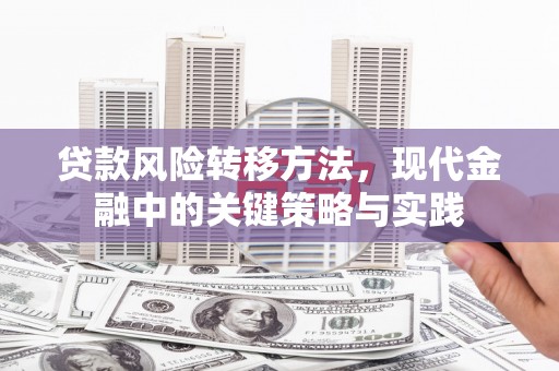雨花贷款风险转移方法，现代金融中的关键策略与实践