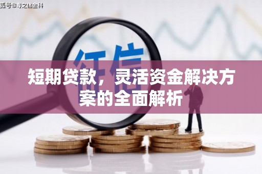雨花短期贷款，灵活资金解决方案的全面解析