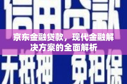 雨花京东金融贷款，现代金融解决方案的全面解析