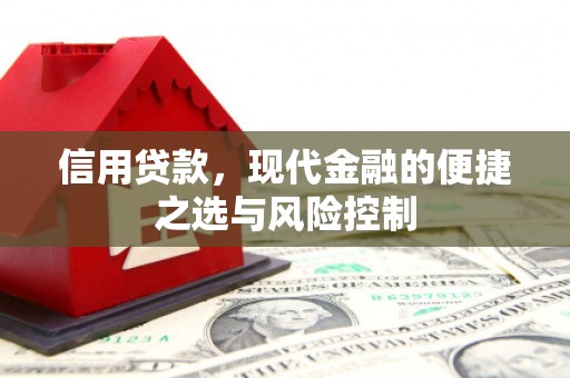 雨花信用贷款，现代金融的便捷之选与风险控制