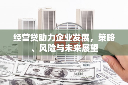 雨花经营贷助力企业发展，策略、风险与未来展望