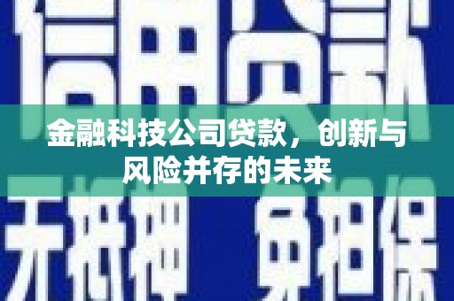 雨花金融科技公司贷款，创新与风险并存的未来