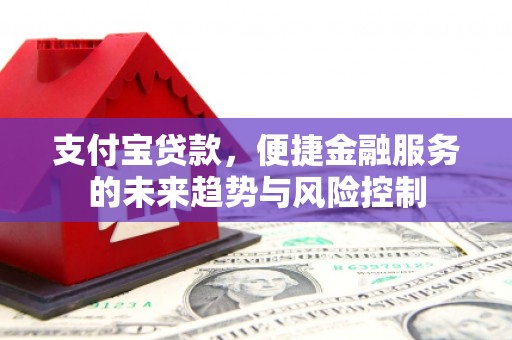 雨花支付宝贷款，便捷金融服务的未来趋势与风险控制