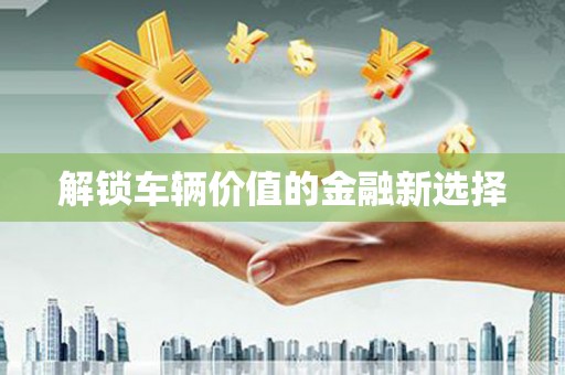 雨花解锁车辆价值的金融新选择