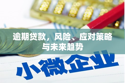 雨花逾期贷款，风险、应对策略与未来趋势