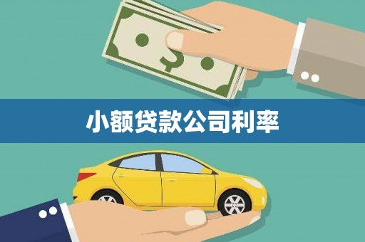 雨花小额贷款公司利率