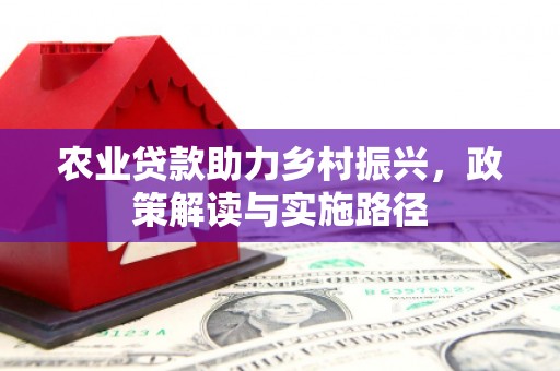 雨花农业贷款助力乡村振兴，政策解读与实施路径