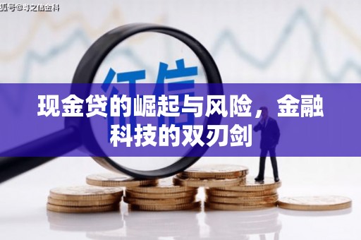 雨花现金贷的崛起与风险，金融科技的双刃剑
