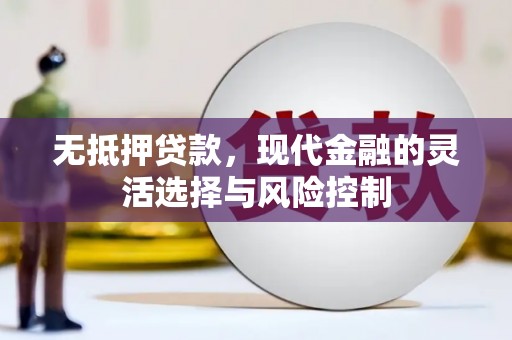 雨花无抵押贷款，现代金融的灵活选择与风险控制