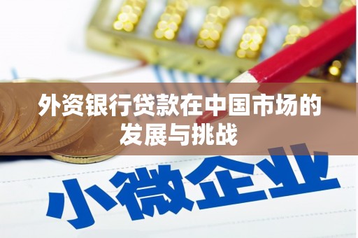 雨花外资银行贷款在中国市场的发展与挑战