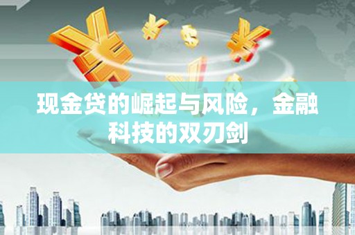 雨花现金贷的崛起与风险，金融科技的双刃剑