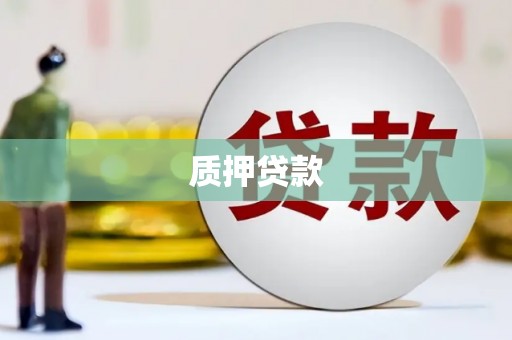 雨花质押贷款