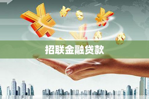 雨花招联金融贷款