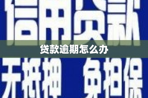 雨花贷款逾期怎么办