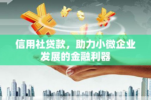 雨花信用社贷款，助力小微企业发展的金融利器