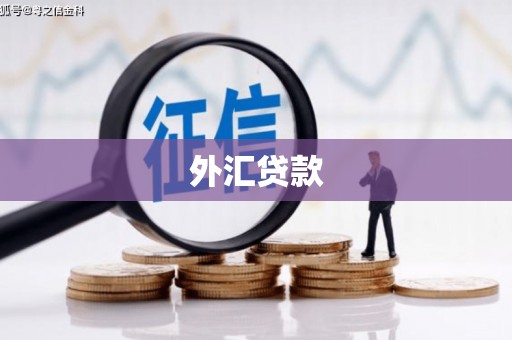 雨花外汇贷款