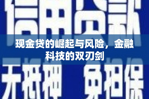雨花现金贷的崛起与风险，金融科技的双刃剑