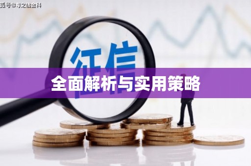 雨花全面解析与实用策略