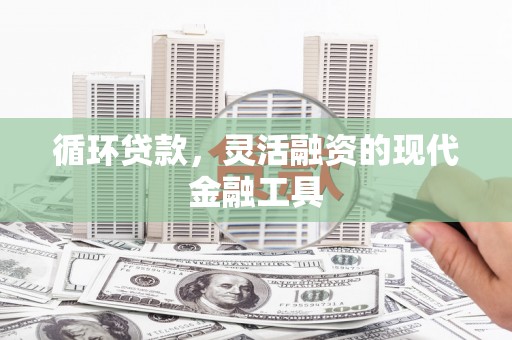 雨花循环贷款，灵活融资的现代金融工具