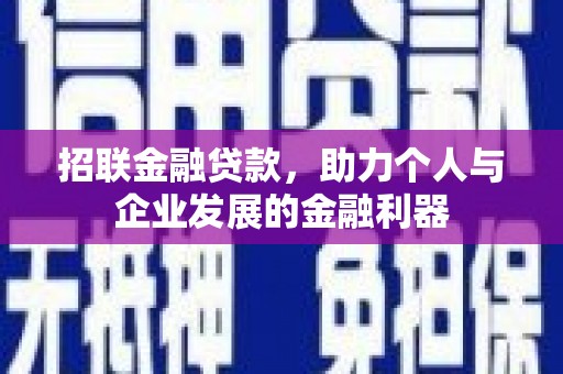 雨花招联金融贷款，助力个人与企业发展的金融利器