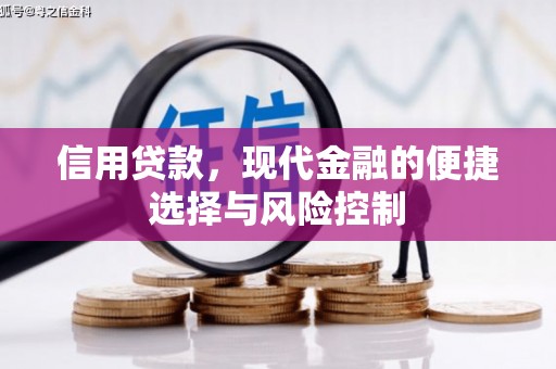 雨花信用贷款，现代金融的便捷选择与风险控制
