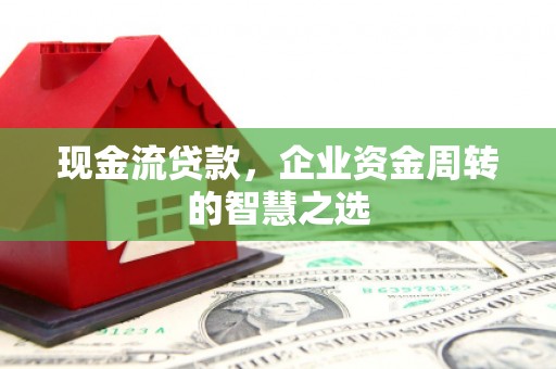 雨花现金流贷款，企业资金周转的智慧之选