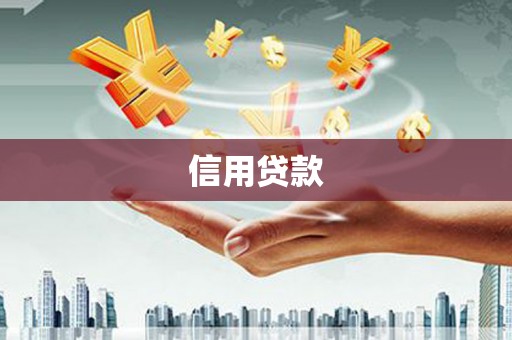 雨花信用贷款