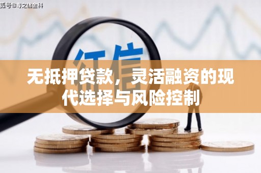 雨花无抵押贷款，灵活融资的现代选择与风险控制