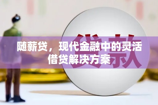 雨花随薪贷，现代金融中的灵活借贷解决方案