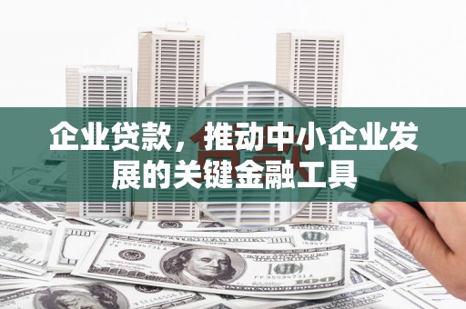 雨花企业贷款，推动中小企业发展的关键金融工具