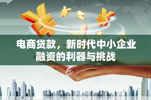 雨花电商贷款，新时代中小企业融资的利器与挑战