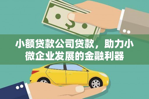 雨花小额贷款公司贷款，助力小微企业发展的金融利器