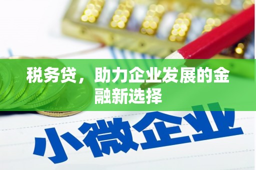 雨花税务贷，助力企业发展的金融新选择