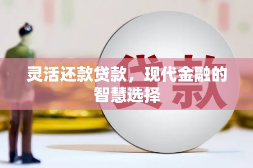 雨花灵活还款贷款，现代金融的智慧选择