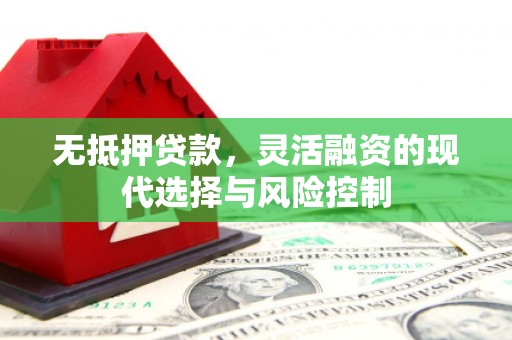 雨花无抵押贷款，灵活融资的现代选择与风险控制