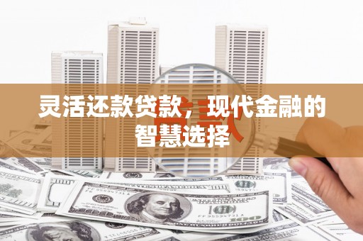 雨花灵活还款贷款，现代金融的智慧选择