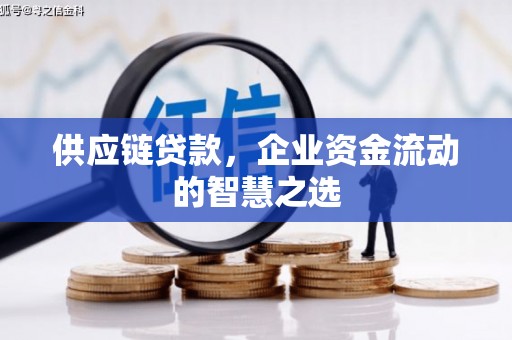 雨花供应链贷款，企业资金流动的智慧之选