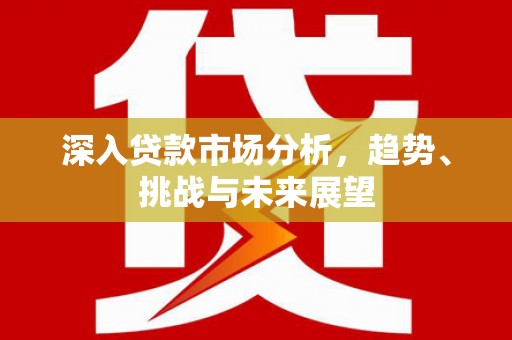 雨花深入贷款市场分析，趋势、挑战与未来展望