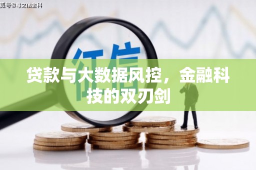雨花贷款与大数据风控，金融科技的双刃剑