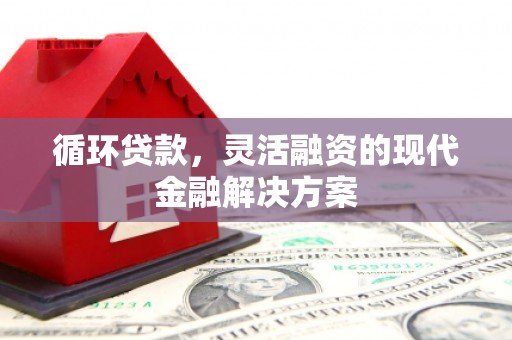雨花循环贷款，灵活融资的现代金融解决方案