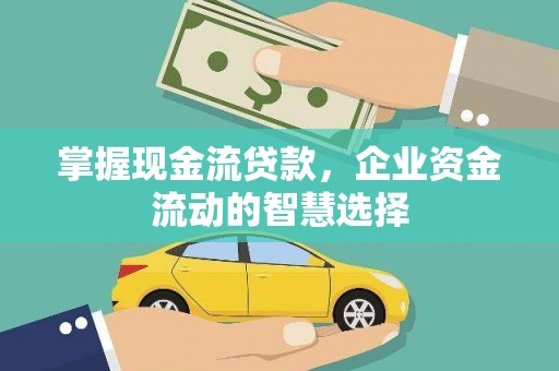 雨花掌握现金流贷款，企业资金流动的智慧选择