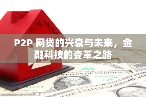 雨花P2P 网贷的兴衰与未来，金融科技的变革之路