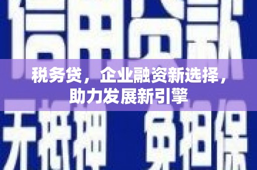 雨花税务贷，企业融资新选择，助力发展新引擎