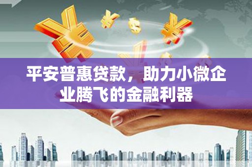 雨花平安普惠贷款，助力小微企业腾飞的金融利器