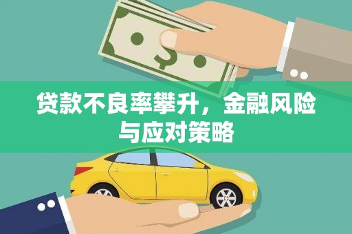 雨花贷款不良率攀升，金融风险与应对策略