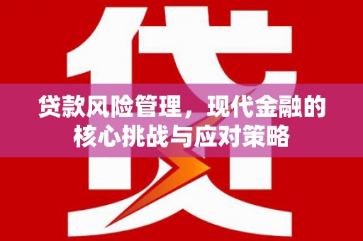 雨花贷款风险管理，现代金融的核心挑战与应对策略
