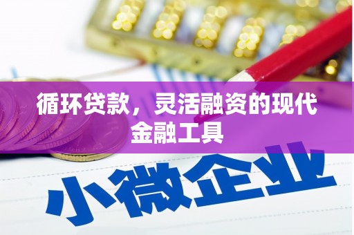 雨花循环贷款，灵活融资的现代金融工具