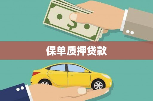雨花保单质押贷款